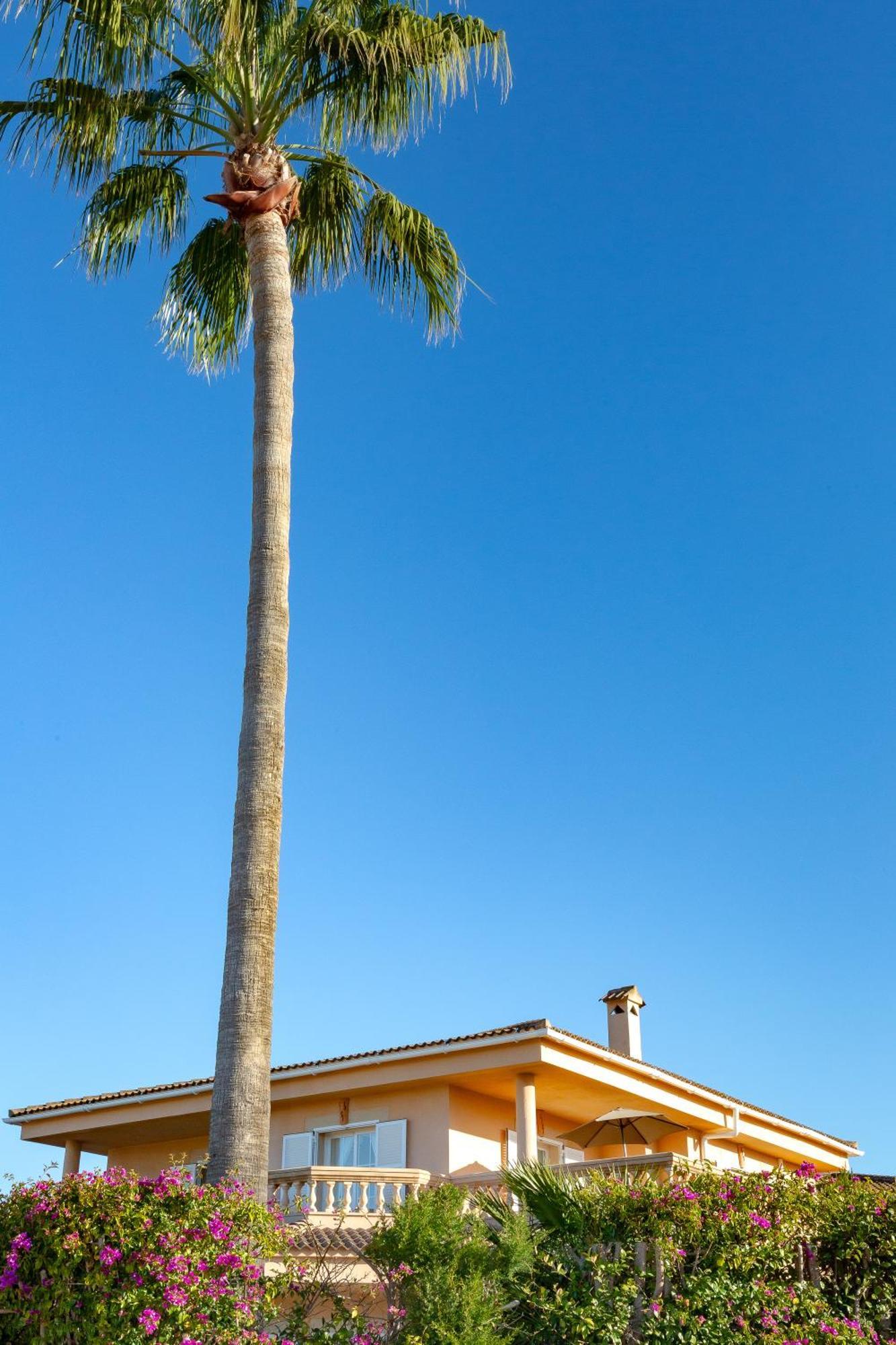 פלמה דה מיורקה Villa Palmera מראה חיצוני תמונה