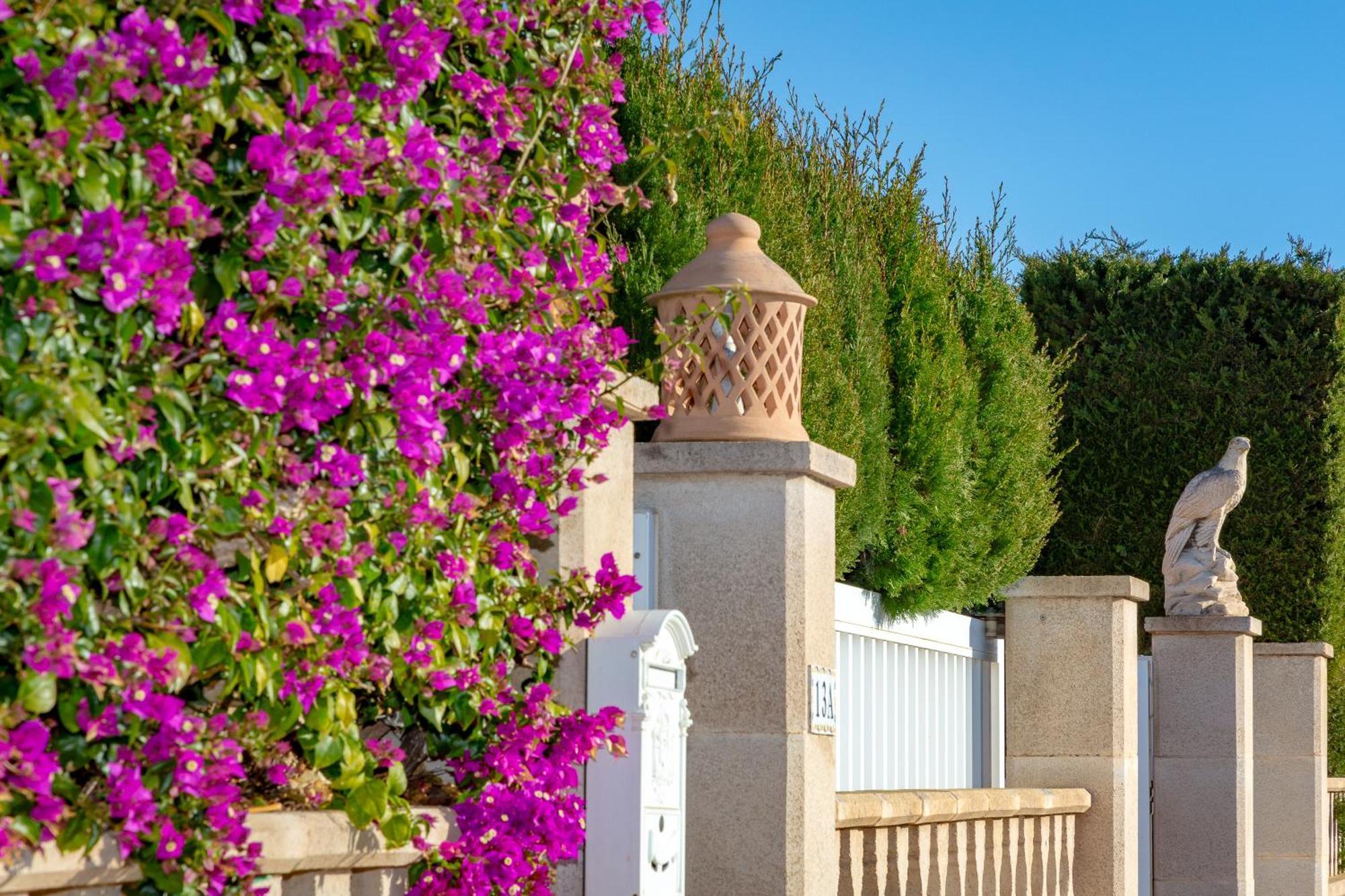 פלמה דה מיורקה Villa Palmera מראה חיצוני תמונה